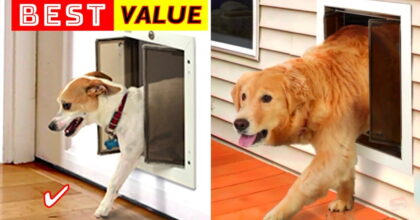 The Best Reliable Pet’s Door for Dogs and Cats