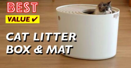 The Best Value Cat Litter Disposal Boxes & Mats on Amazon