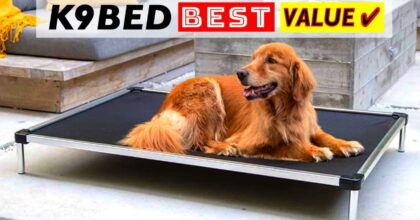 The Best K9 Dog Beds by Ballistics