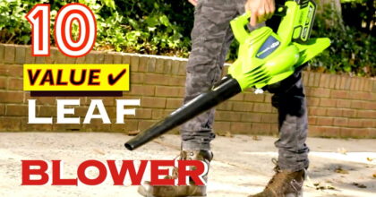 The Best Value Leaf Blowers on Amazon