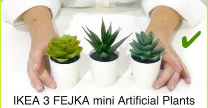 IKEA FEJKA 3 Artificial mini Plants Review