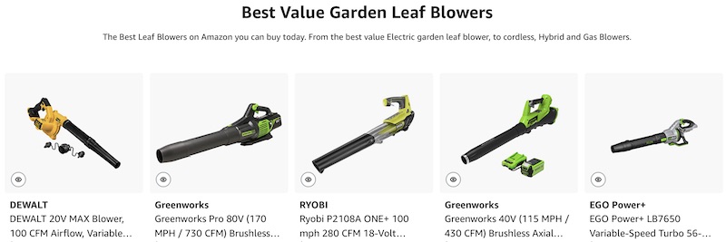 Best Value Garden Leaf Blowers