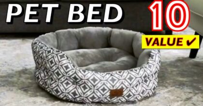 The Best Pet Beds For Cats and Small Dogs